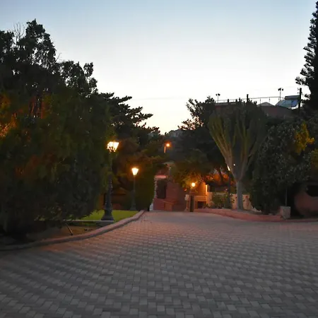 Olive Tree Limassol