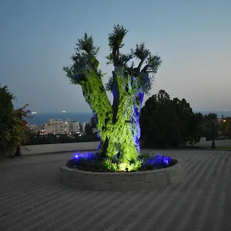 Olive Tree דירה *